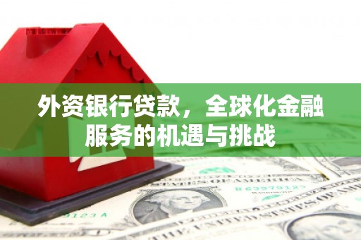 青冈外资银行贷款，全球化金融服务的机遇与挑战