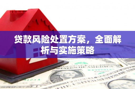 青冈贷款风险处置方案，全面解析与实施策略
