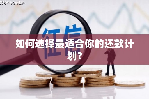 青冈如何选择最适合你的还款计划？
