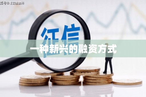 青冈一种新兴的融资方式